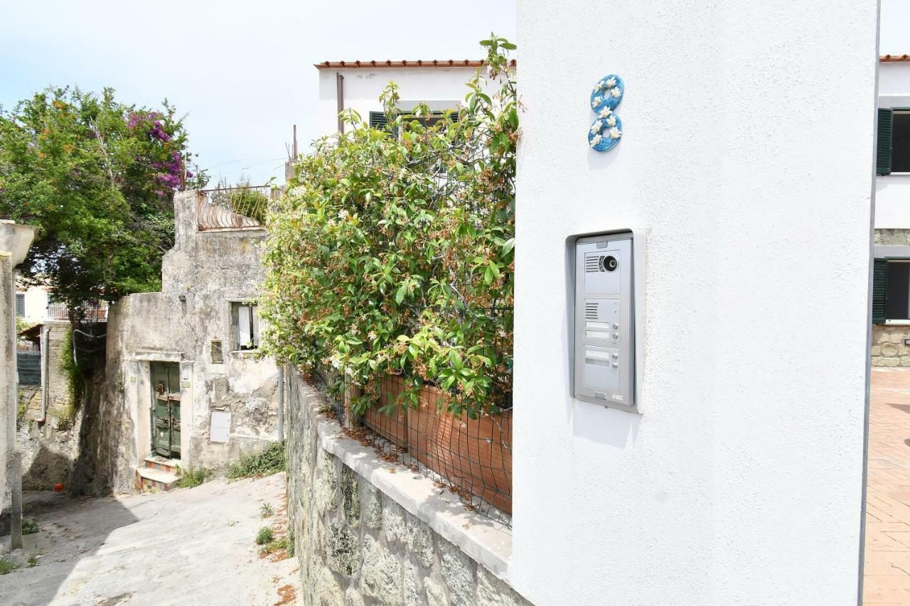 Casa Partenope Villa Forio di Ischia Buitenkant foto